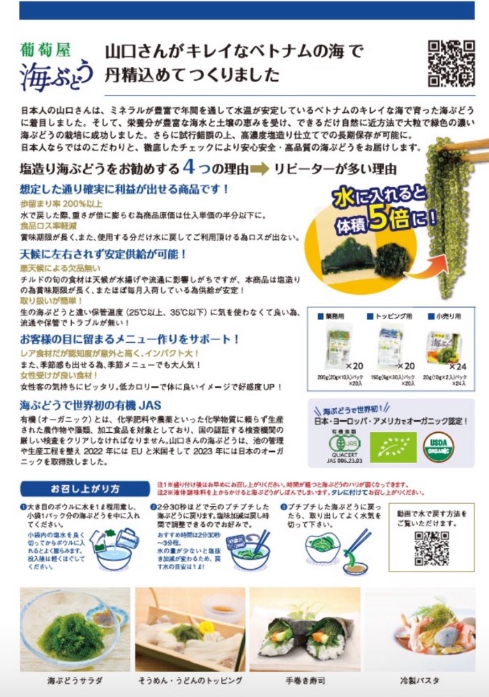 ５倍に膨らむ海ブドウ　20gx10Px20袋【ケース単位】