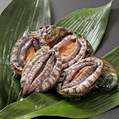 ���@�ڈ΂���с@�@80/90��