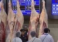 �X�܎ʐ^�E���S