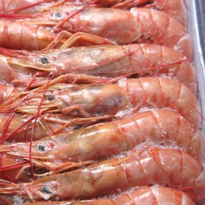 2kg̔A[`ԊCVL3(30-40/kg)@