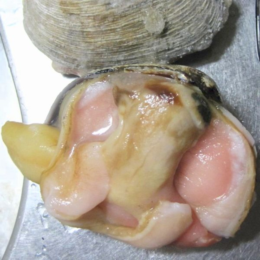 �y�����ʁz1kg�̔����ЊL�傠����7-11��/kg�@�o�[�׃L���[�ɍœKcp