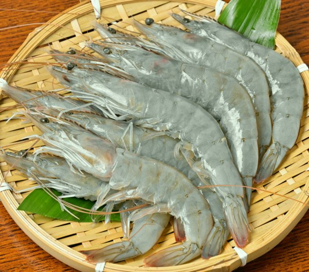 �y�����ʁz�P�[�X�������_�̊C�V/�L���o�i���C30-40��/kg/���Z�x�C���{�Bcp