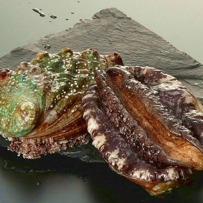 �y�����ʁz�啝�l�������G�]�A���r90-100g/��3kg�i30-35�jcp