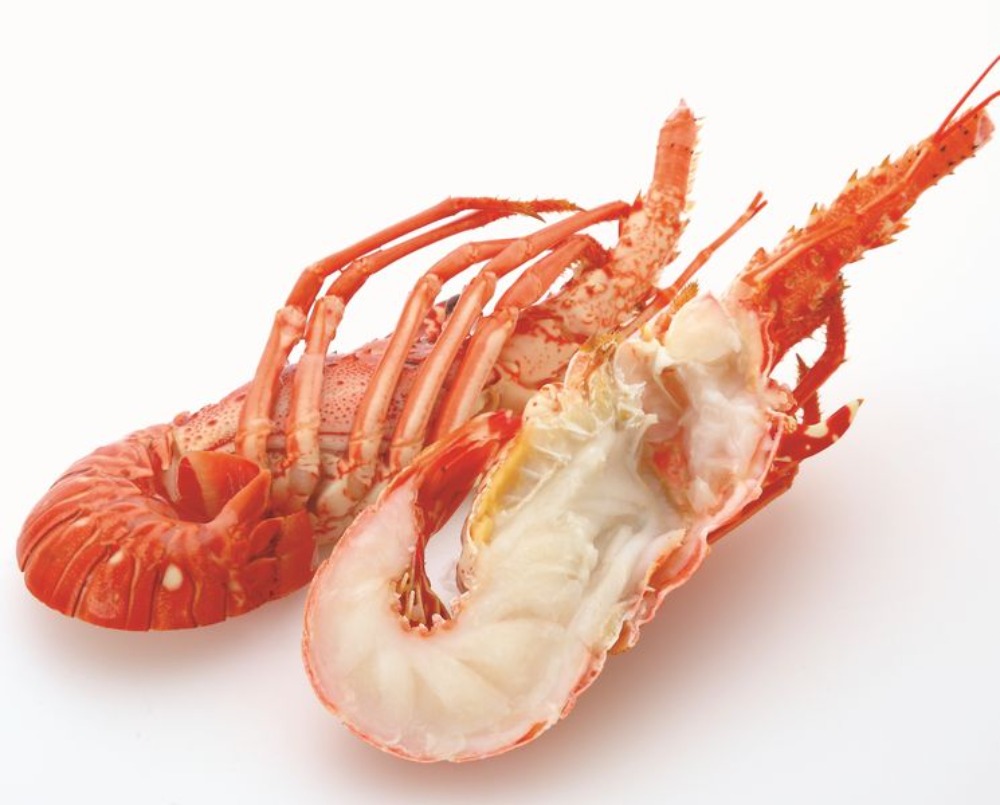 10kg★ボイルロブスター/イセエビ/特大350-400g/28尾