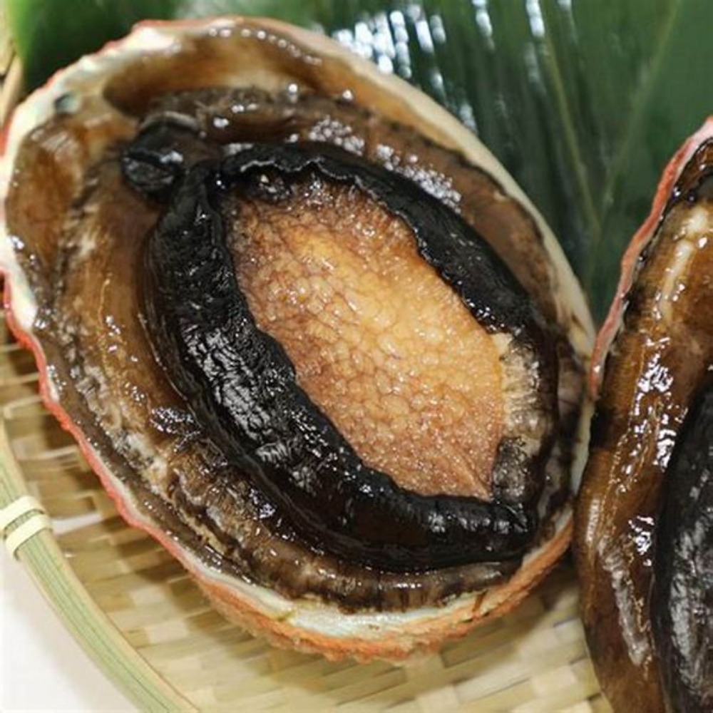 3kg以上販売◆大幅値下/オーストラリア産/活アワビ250-300g