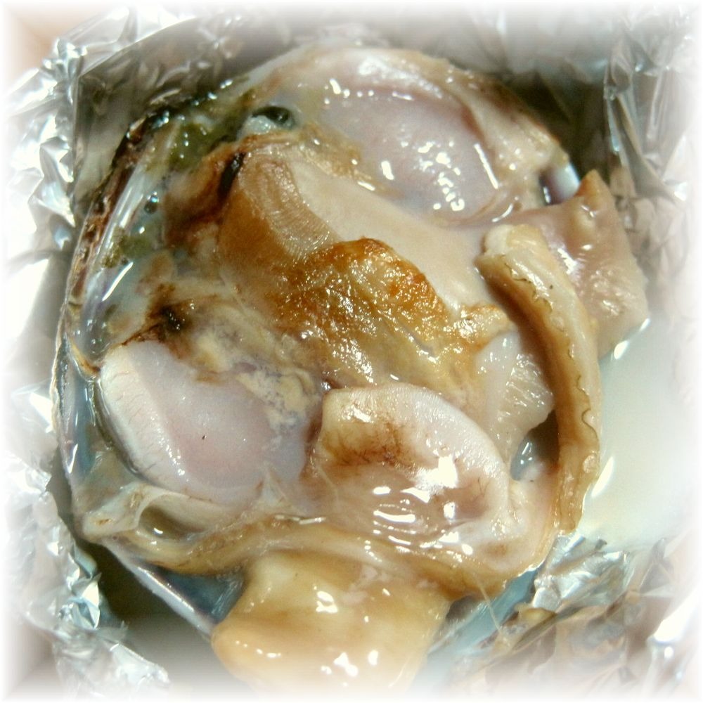 1kg販売◆片貝大あさり7-11粒/kg　バーべキューに最適cp