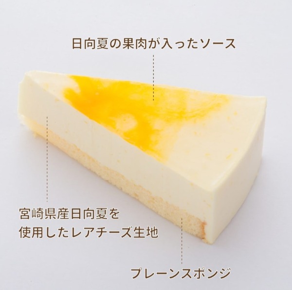 日向夏のレアチーズケーキ7号12カット6個入(360g)
