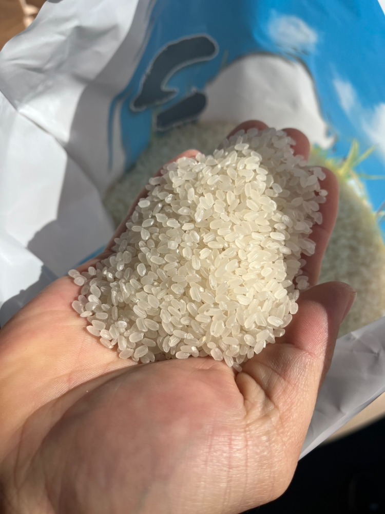 令和7年群馬県産　こしひかり　無精米　１０kg