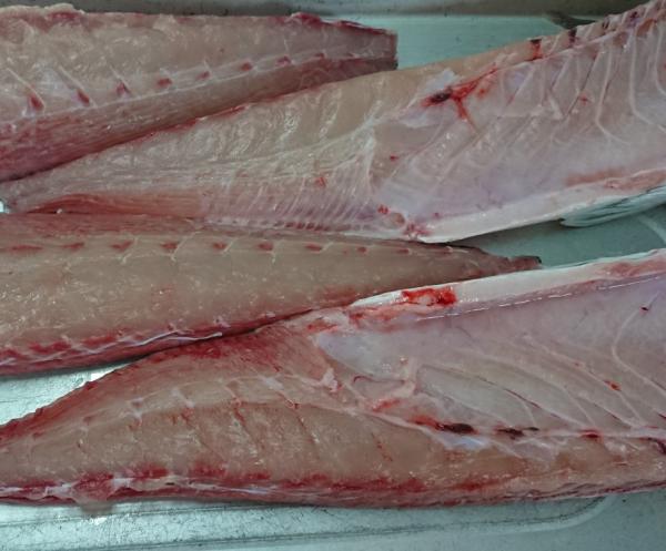 愛媛県産　養殖活け〆カンパチ　お刺身用　約4kg