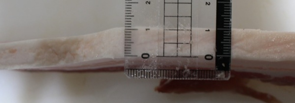 【鹿児島県黒豚使用】ジャンボ豚バラ串　120gx15本（1cm厚！）