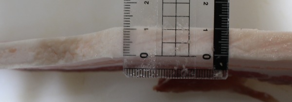 【鹿児島県黒豚使用】ジャンボ豚バラ串　120gx15本（1cm厚！）