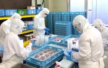 �X�܎ʐ^�E���S