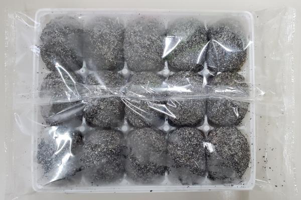 【有償サンプル】おはぎ（ごま）90g　和菓子　ぼたもち