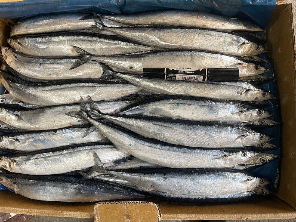 最終在庫セール値下げ　冷凍生さんま（大）9kg　70-75尾入り　