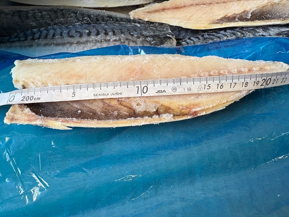 ノルウェー産　塩サバフィレ5kg　35枚　