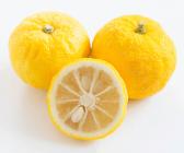 �X�܎ʐ^�E���S