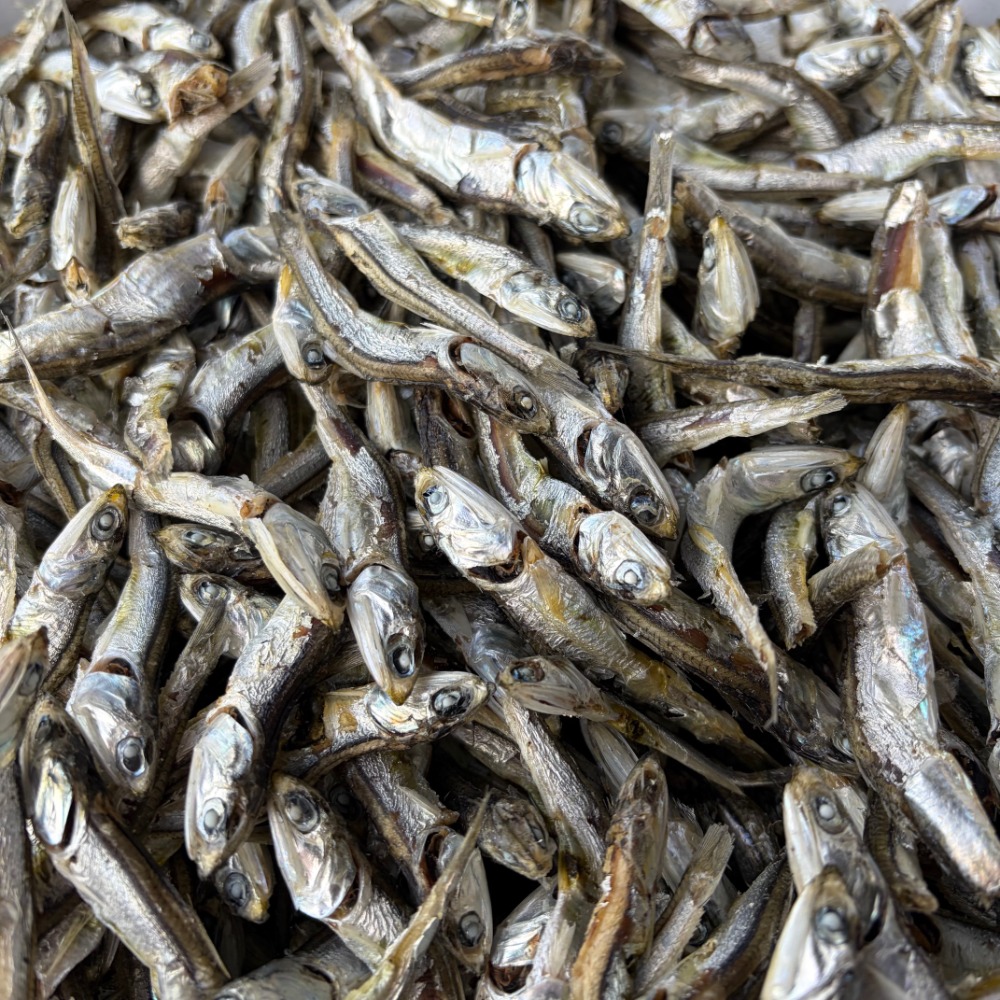 【だし用煮干】山口周防大島産　煮干　いりこ　出汁　8cm前後