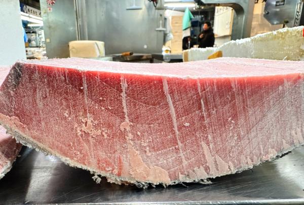 送料サービス【中トロ】赤身無し脂鉢鮪5k以上で送料サービス！