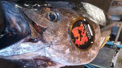 �X�܎ʐ^�E���S