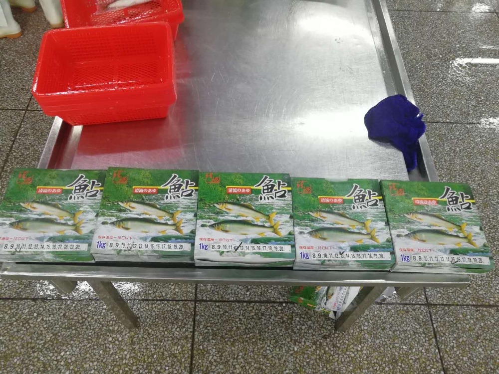 中国産　冷凍鮎　9尾10尾11尾　13尾14尾　各種