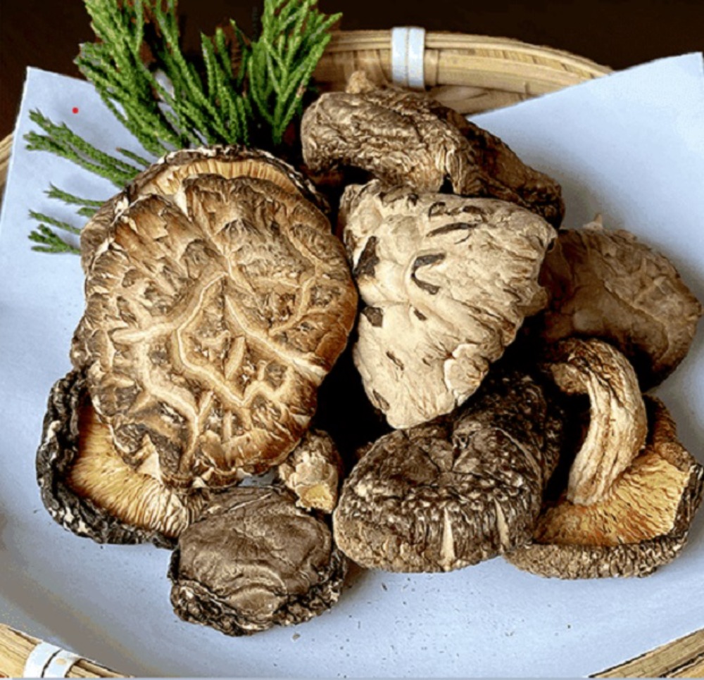 国産　乾燥しいたけ（香こ）　