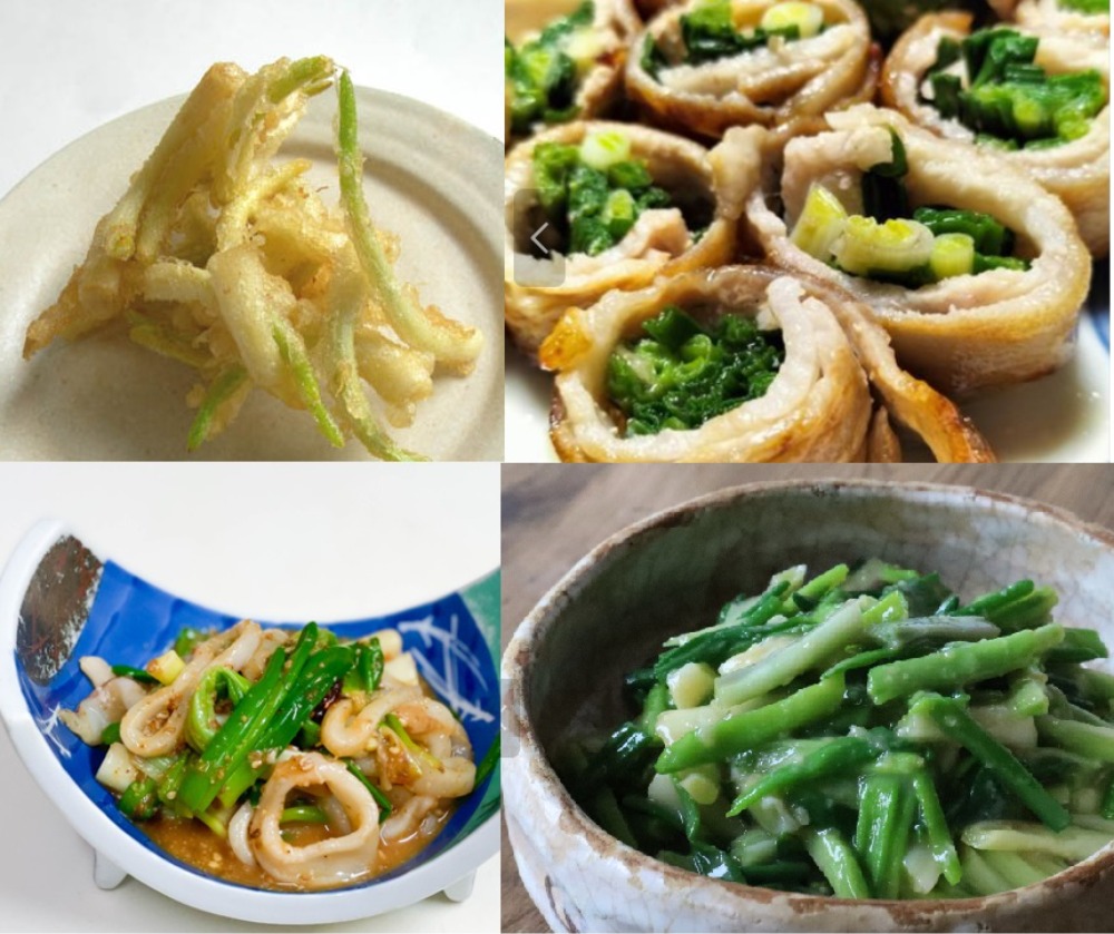 山形県　庄内産　雪の下　あさつき