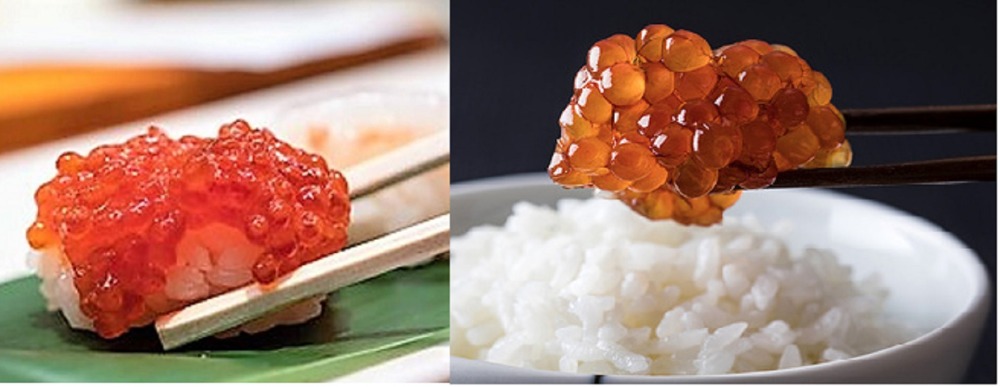 北海道産　秋鮭筋子　約200ｇ