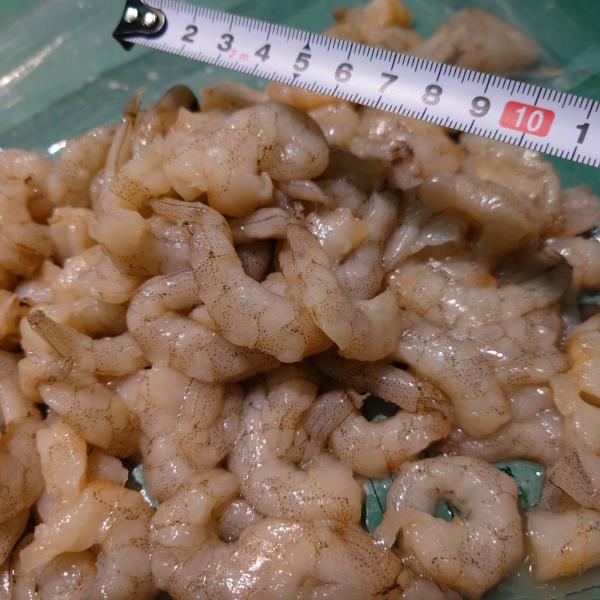 【天然！】　芝えびむき身　500g　【国産】　