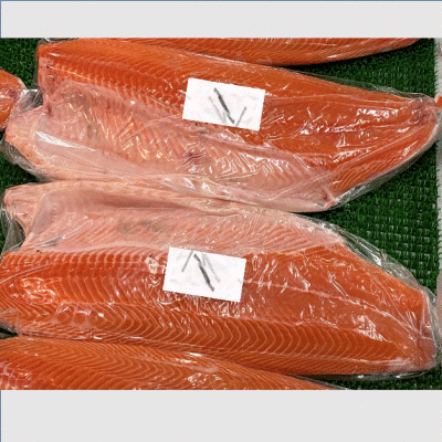 �y�����ʁz�������߁@�t�B���@�Ⓚ�@�T�[�����@���H�p�@�m���E�F�[�Y