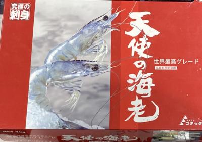 �y�����b�g�z�V�g�̊C�V�@30/40�@�����i�����@�L�F�s����