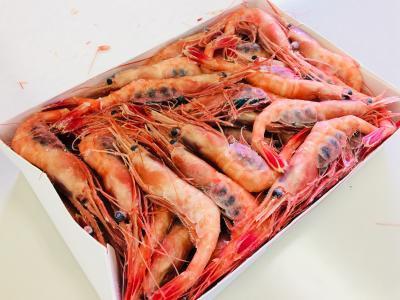 �y�����b�g�z�Â��с@�QL�@�Pkg�C�V�@�����i�����@�L�F�s��