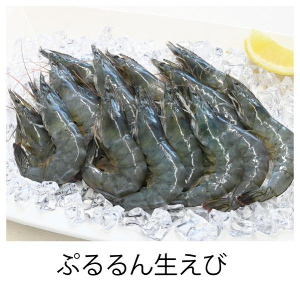 【送料込】ぷるるん生エビ(バナメイ有頭)　1kg(35尾)ｘ10