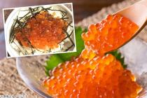 �X�܎ʐ^�E���S