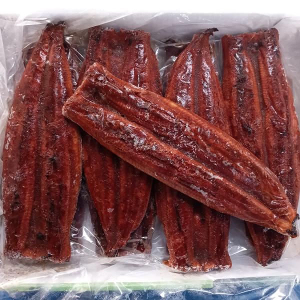 【ジャポニカ種】　うなぎ炭火蒲焼　　無頭背開25尾