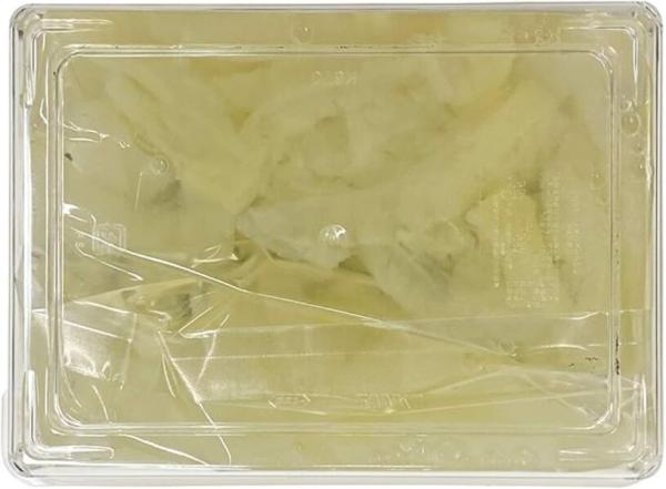 お刺身くらげ（たれ付）500gパックx8入