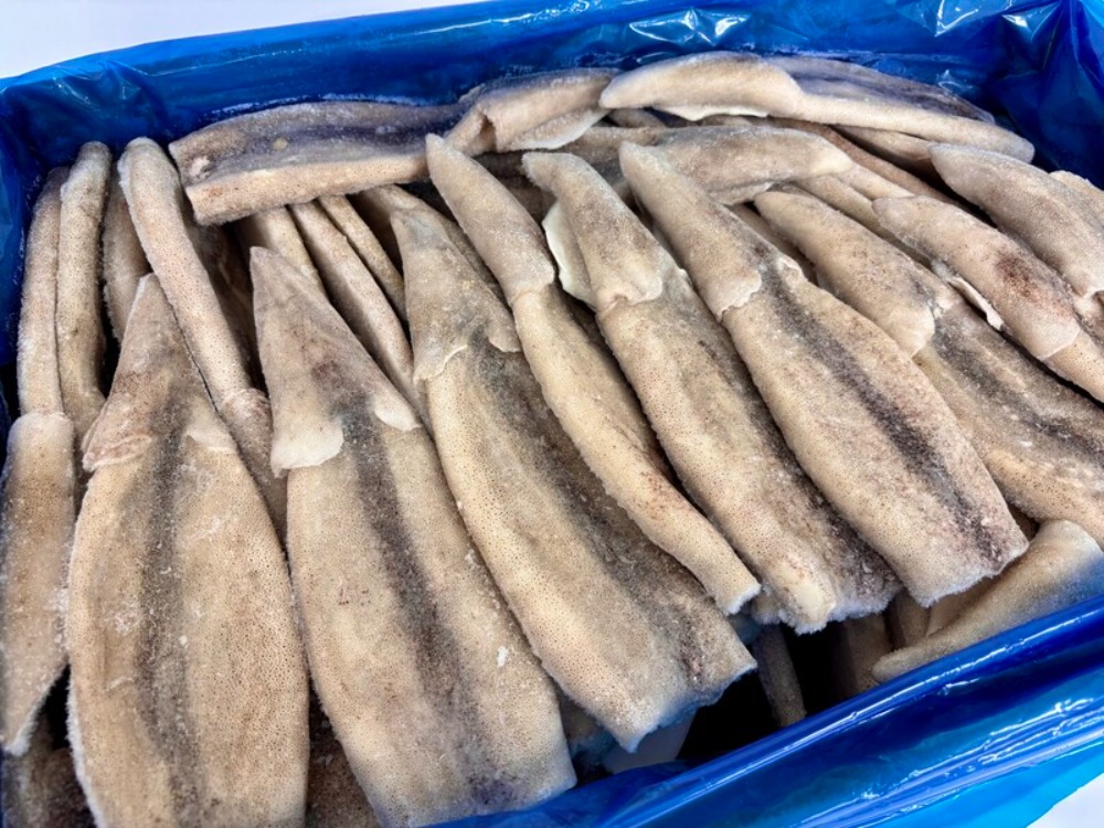 �y�����ʁz�����Y�@�c�{�����}�c�C�J�@70��/7.5kg