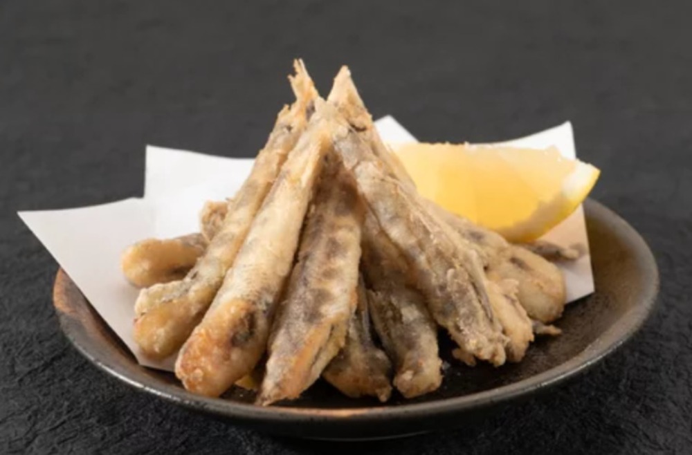 �y�����ʁz���q�J�����g���@1kg