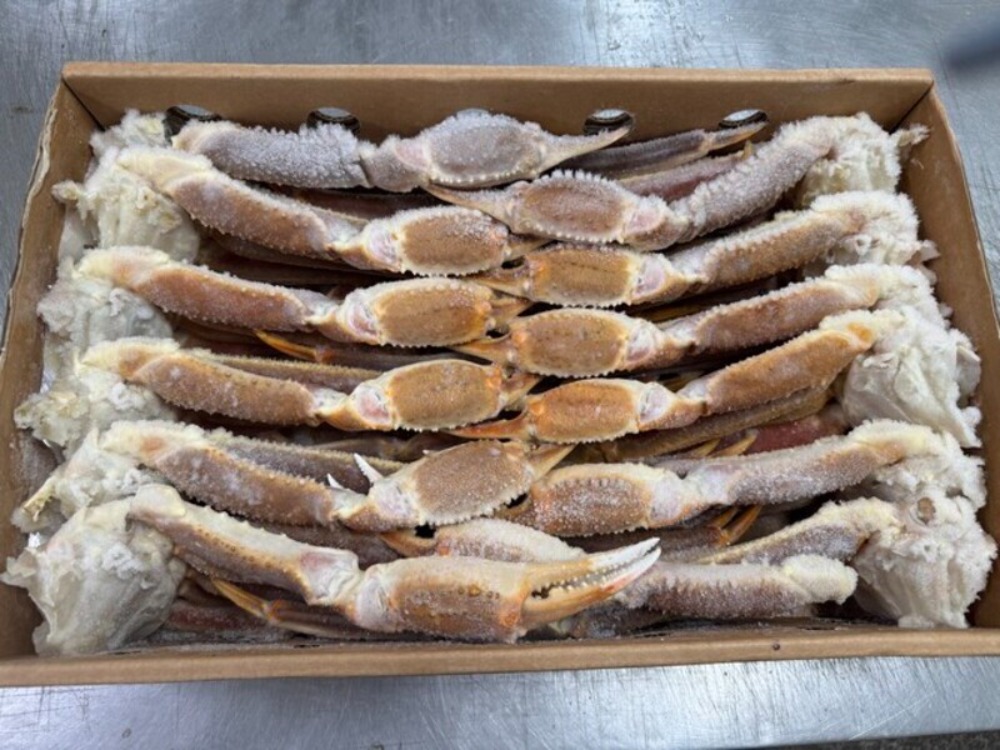 生本ずわいがに　セクション　5Lサイズ5kg