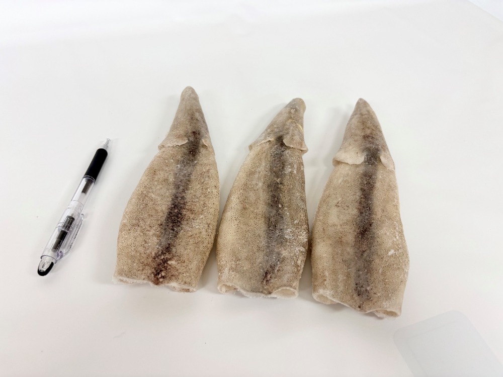 中国産　ツボ抜きマツイカ　70尾/7.5kg