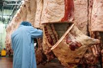 �X�܎ʐ^�E���S