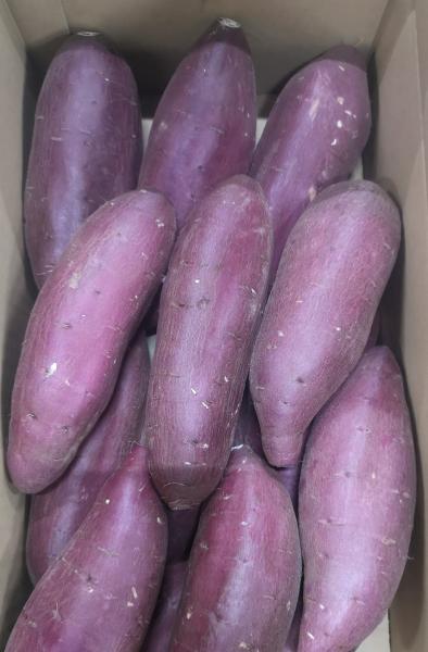 【徳島県産】なると金時　さつまいも　２L