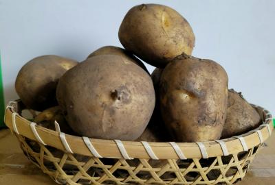 �y�k�C���Y�z�΂ꂢ����@���Ⴊ�����@LM�@10kg