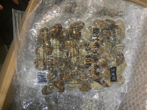 生食用真空ボイル殻付きあさり　50-60粒（500ｇ）