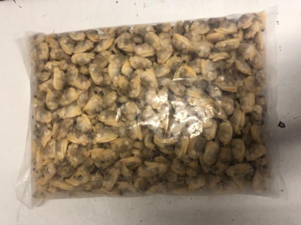 ボイル剝きあさりMサイズ　500粒-700粒