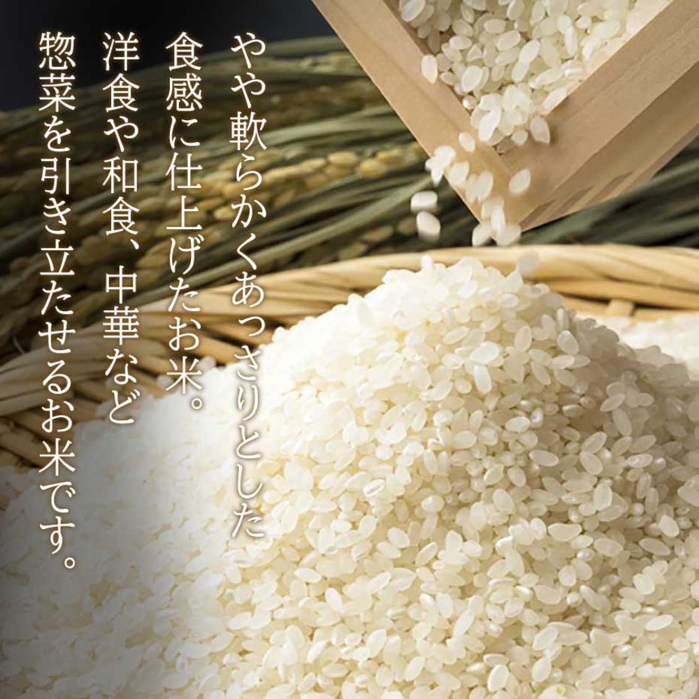 米　新米　10kg　日本産　令和７年産　　白米　　精米