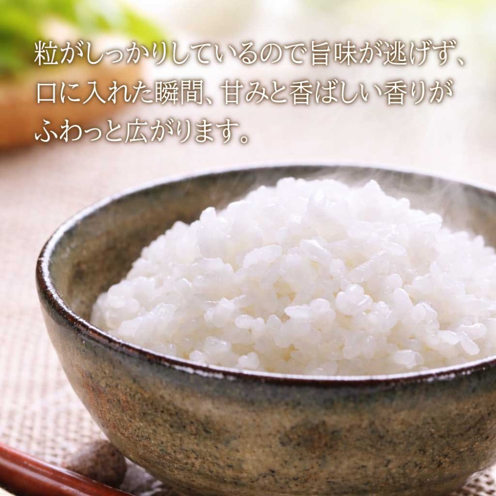 米　新米　10kg　日本産　令和７年産　　白米　　精米