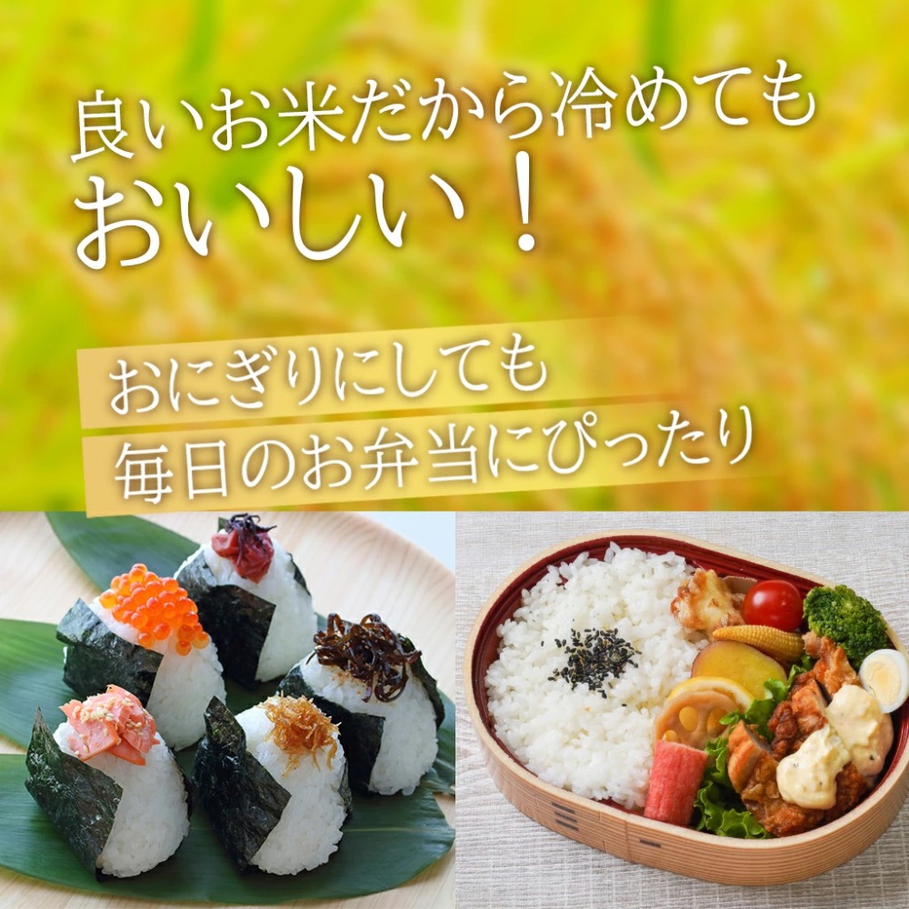 米　新米　10kg　日本産　令和７年産　　白米　　精米