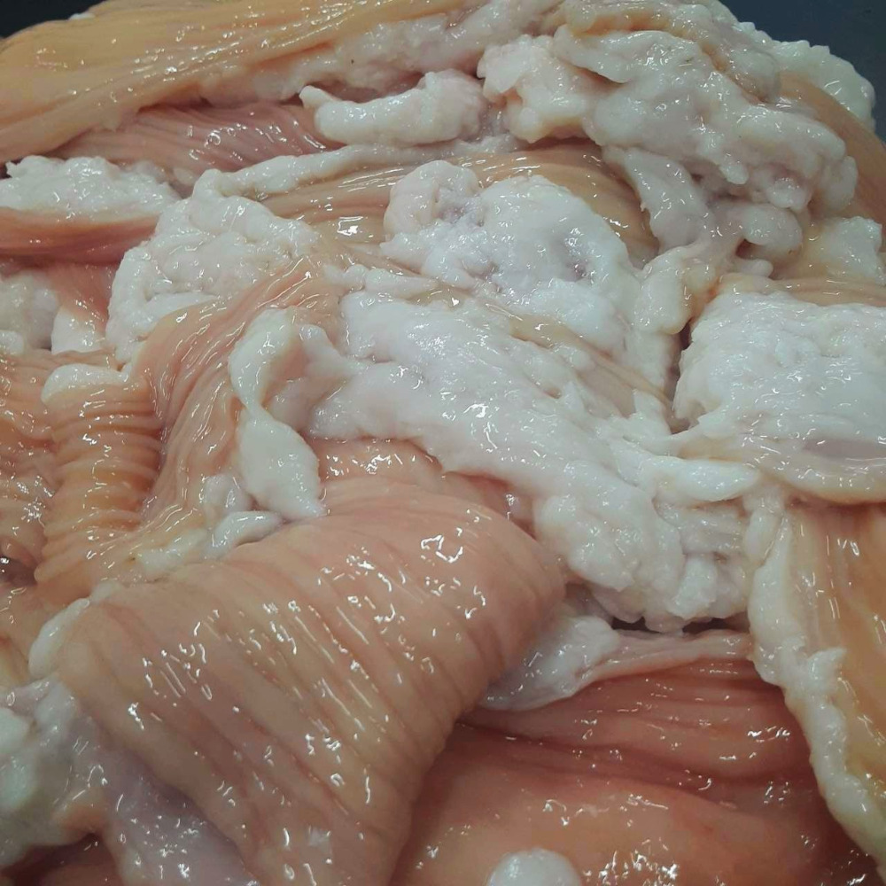 人気のホルモン　国産牛　シマチョウ(大腸/テッチャン)　脂付　