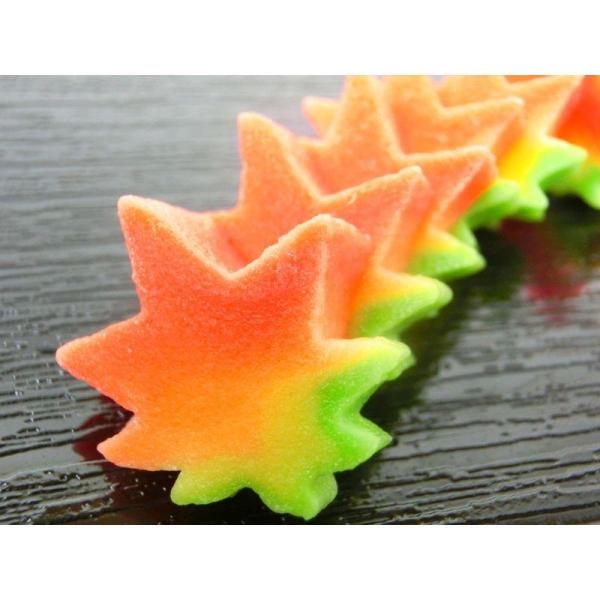 冷凍　赤紅葉　棒麩（小）　20本