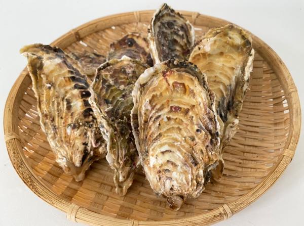 【生産社直増】生食用殻付牡蠣（カキ）（宮城県石巻産）Lサイズ